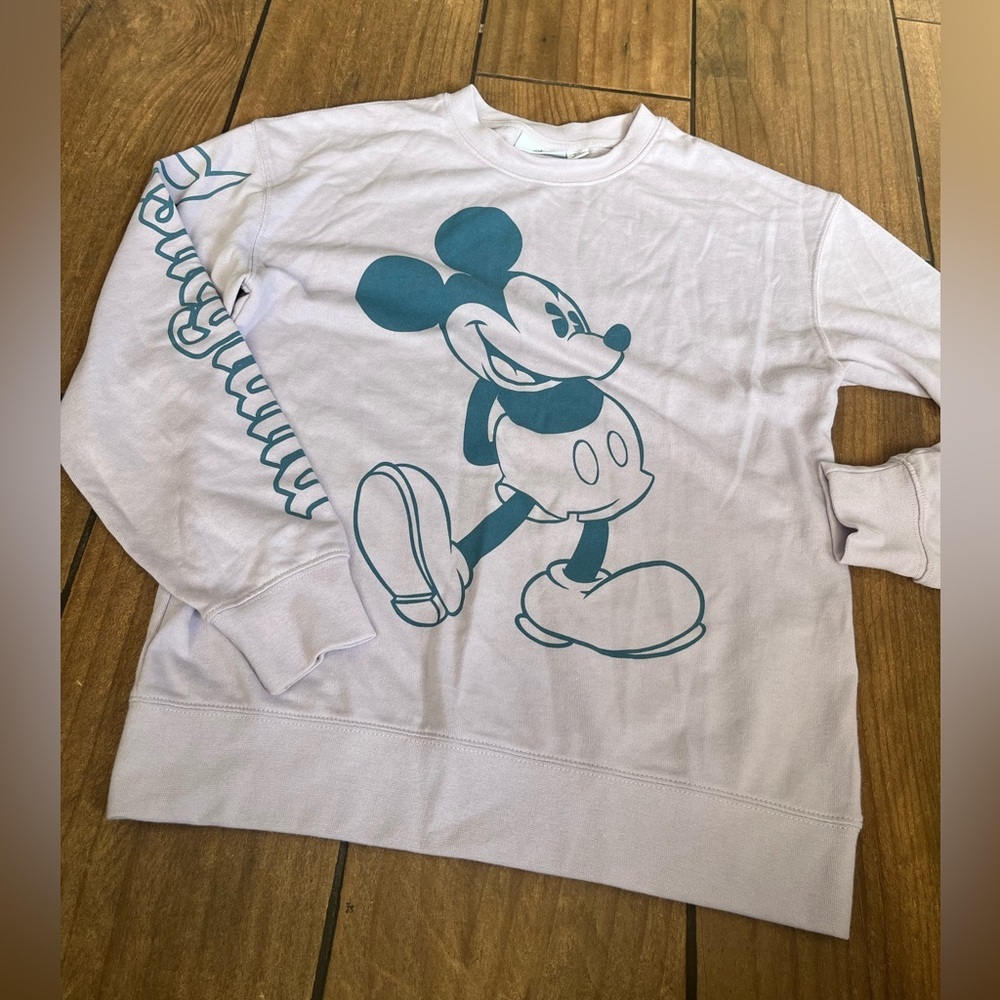Disneyland Mickey and Minnie Mouse Pastel Pullover Sweatshirt XS